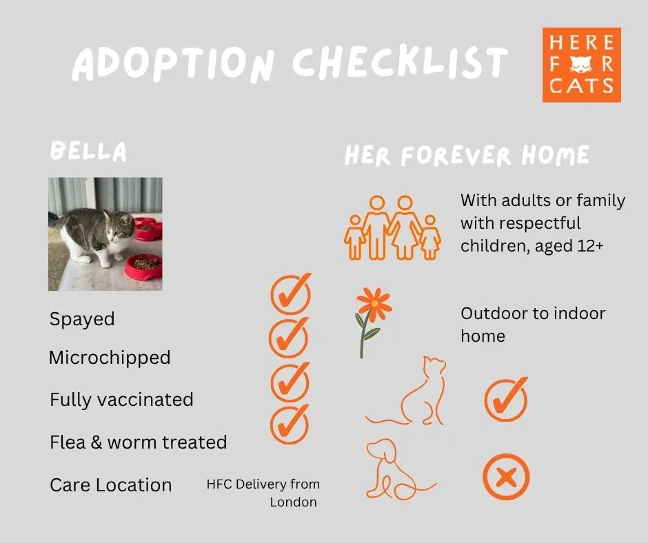 Bella home requirements checklist