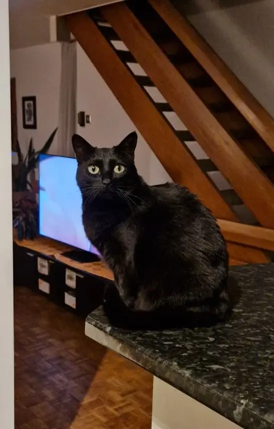 Photo of Maya