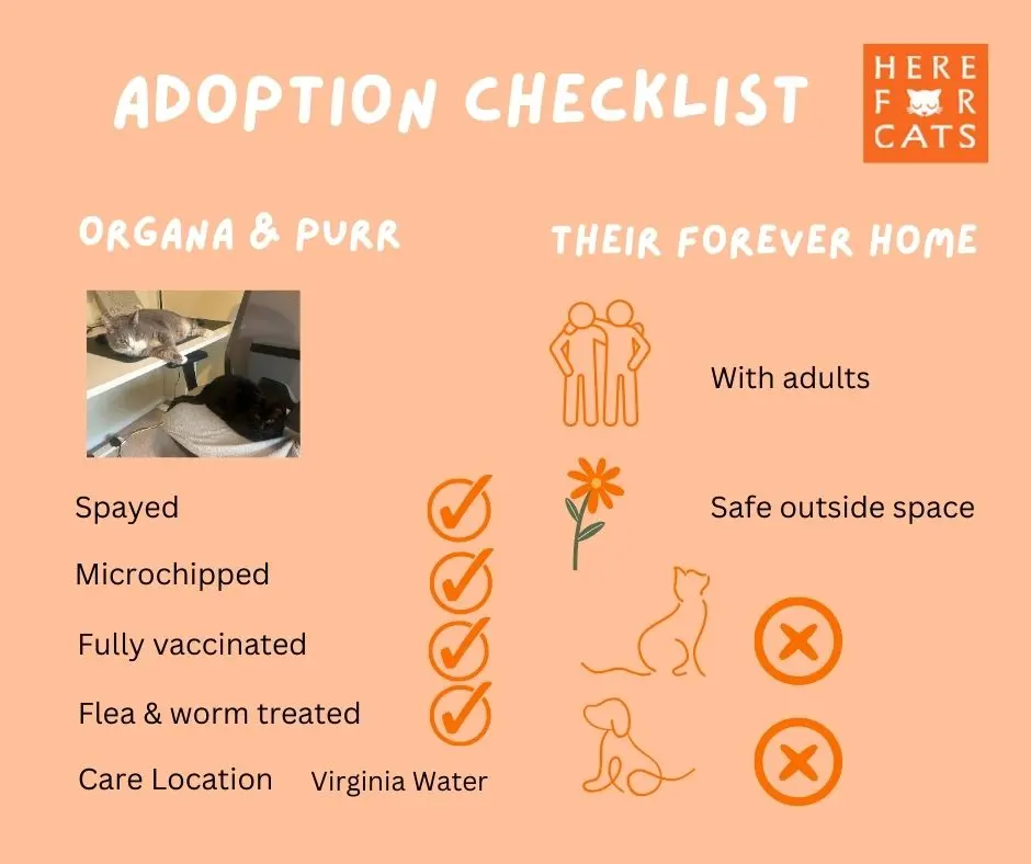 Organa & Purr home requirements checklist