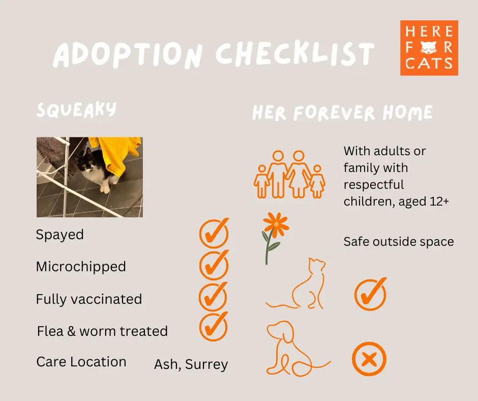 Squeaky home requirements checklist