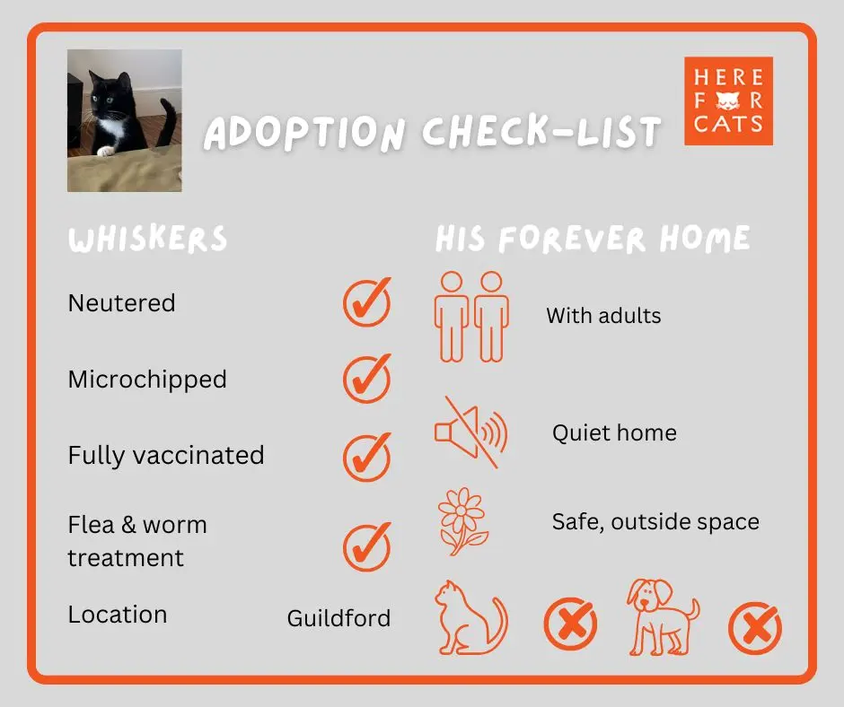 Whiskers home requirements checklist